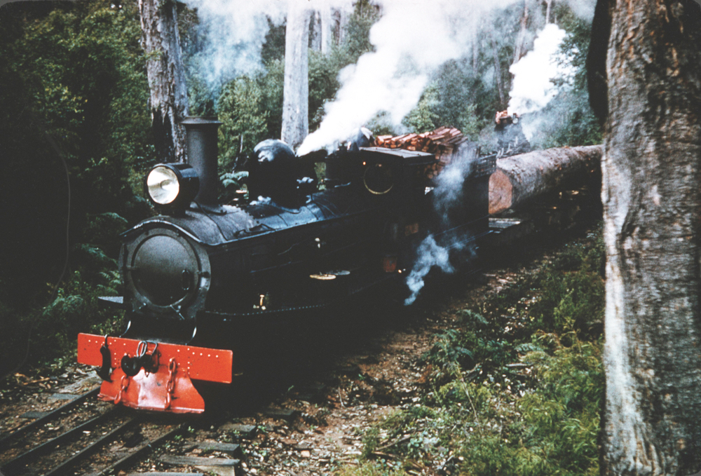 Millars Timber & Trading Class G in the forest