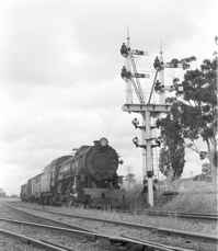 WAGR Class V 1203 waiting for the road.jpg