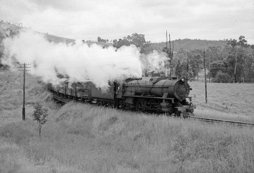 WAGR Class V on a freight for Collie