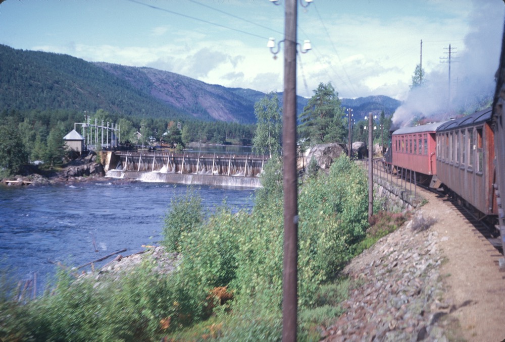 Alongside the river