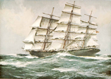 TORRENS cropped.jpg
