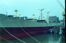 Armadale 7.jpg