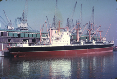 Armadale &frac34; aft Starboard.jpg