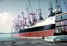 Armadale from bow.jpg