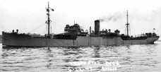 tropicstar ex Ashburton.jpg