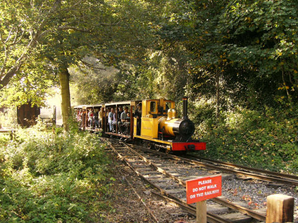 Polar Bear departs from Amberley station for Brockham & Cragside