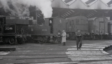 Guildford Shed