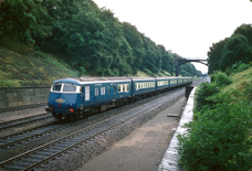 Blue Pullman in Sonning Cutting.jpg