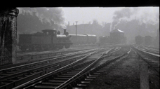 30567 runs off to shed
