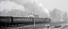 Class U leaves for Readingc