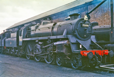 75006